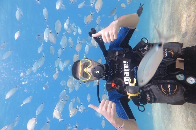 Fethiye Scuba Diving Trip with Mermaid Diving INCL Lunch-Transfer - Gear, safety, and insurance: what “included” really means