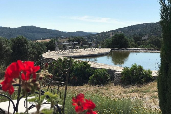 Food and Wine pairing Dinner at Karnas Vineyards Bodrum - Karnas Vineyards: a calm break from Bodrum beaches