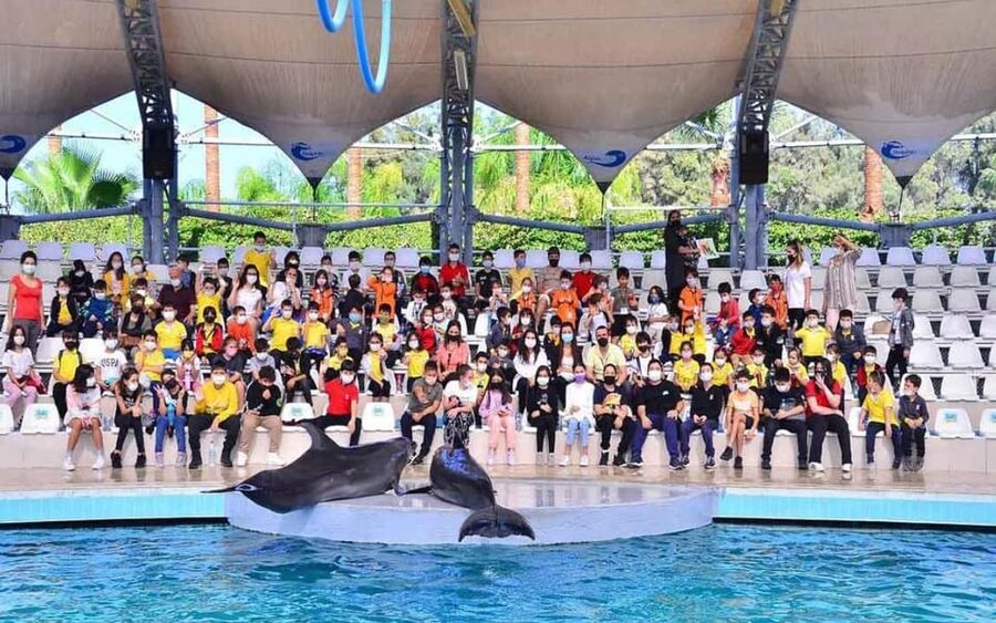 From Belek: Dolphin Show with Transfers - Who this Belek dolphin show suits best
