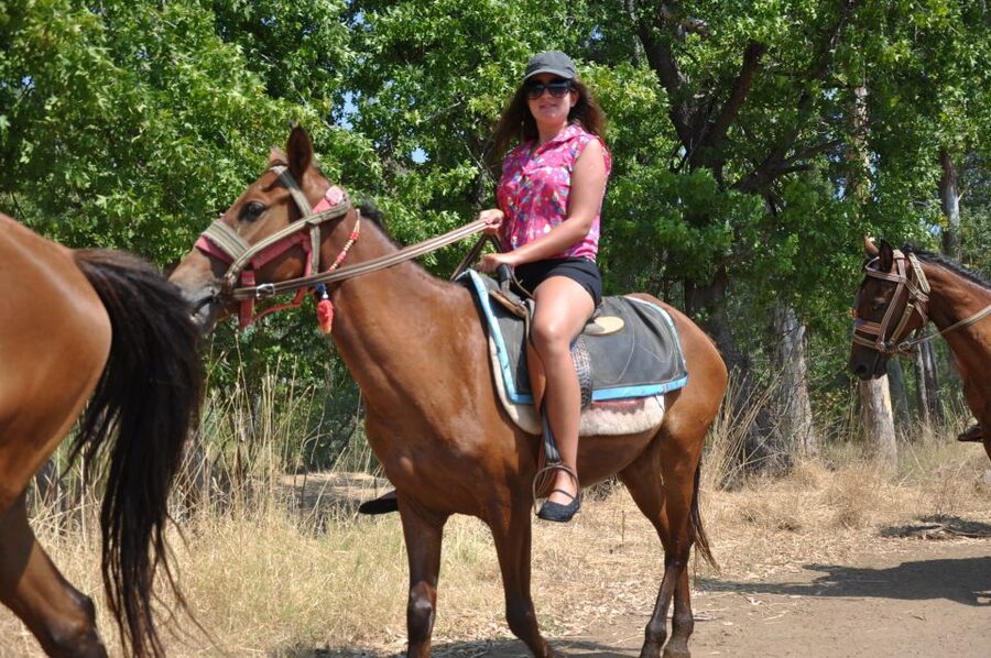 From Bodrum/Gümbet: Guided Horseback Riding Expereince - Meet the Horses: Calm, Docile, and Built for Beginners