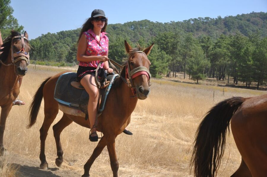 From Bodrum/Gümbet: Guided Horseback Riding Expereince - Price and Value: Why $90 Can Make Sense