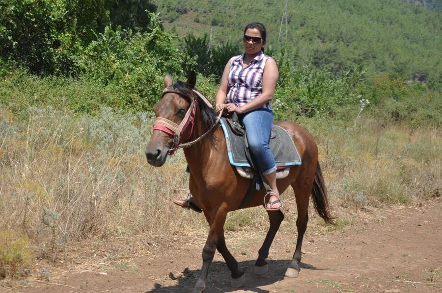 From Bodrum/Gümbet: Guided Horseback Riding Expereince - Animal Welfare: A Key Consideration Before You Book
