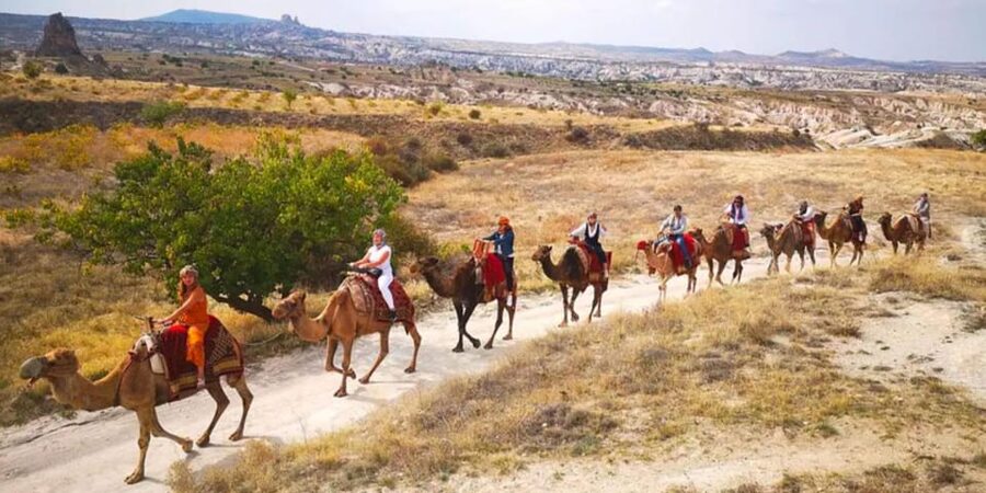 From Cappadocia: Sunrise or Sunset Camel Riding Day Trip - What You Get for $89: Value for a Guided, Timed Experience