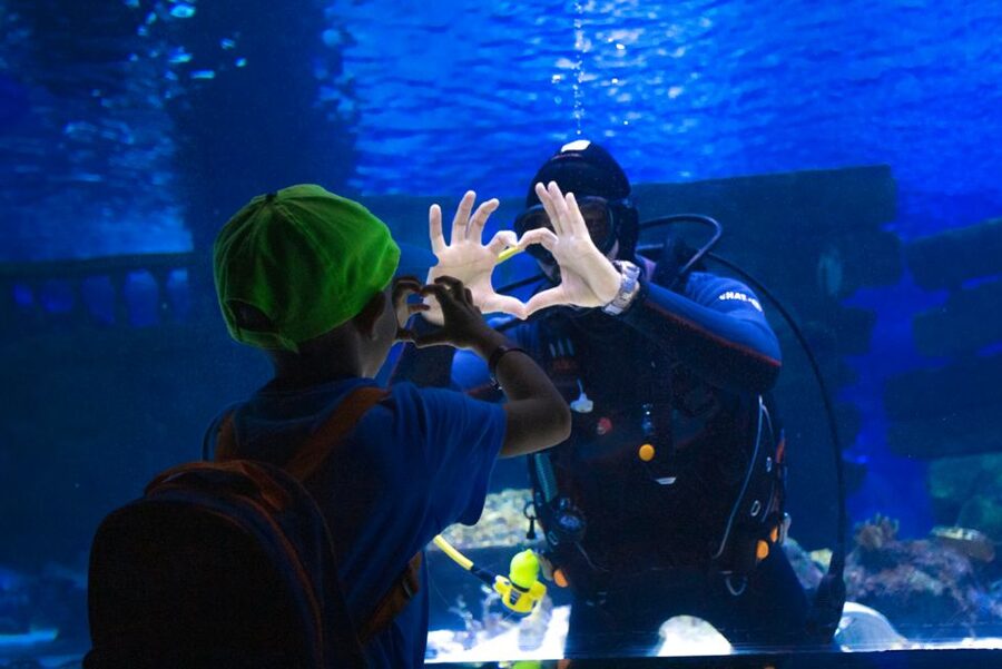 From City of Side: Antalya Aquarium Tour, Ticket & Transfer - Key highlights to look for