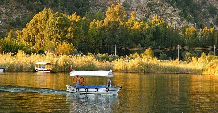 From Fethiye: Dalyan Day Trip with Mud Bath and Turtle Beach - Key highlights worth planning around