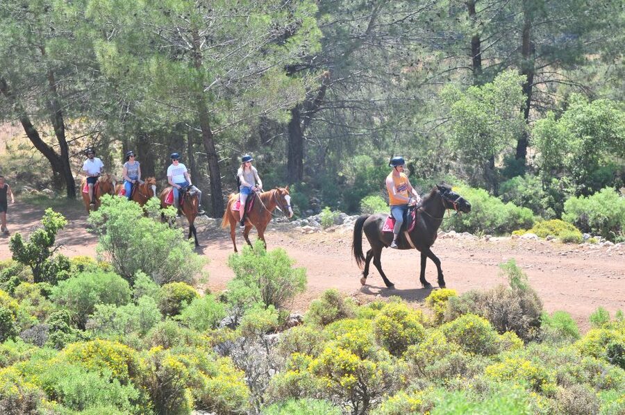 From Fethiye: Horse Riding Adventure - What It’s Like on the Horse: Easy for Beginners