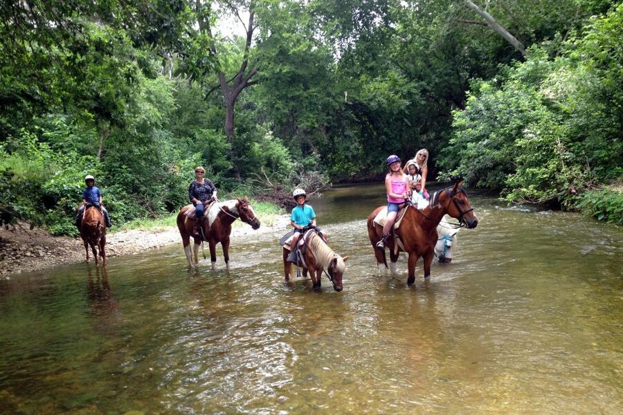 From Fethiye: Horse Riding Adventure - Included vs Not Included, So You Can Plan Smart