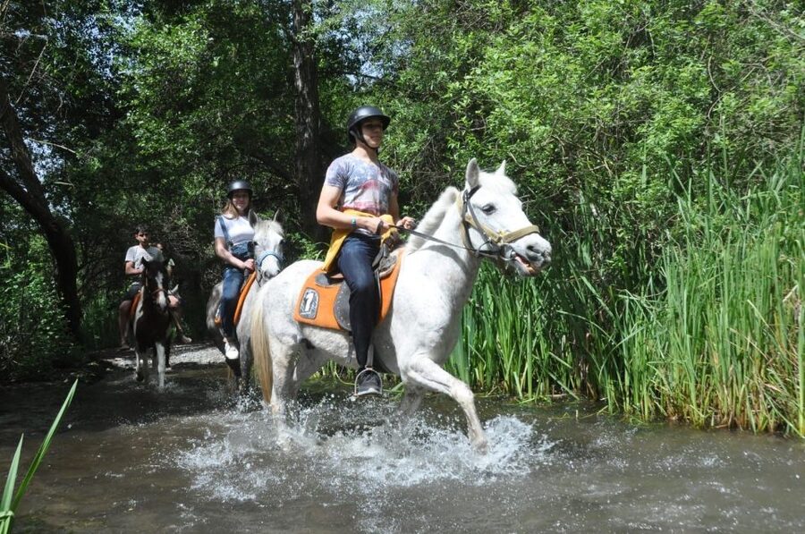 From Fethiye: Horse Riding Adventure - The 15-Minute Induction and Meeting Your Horse