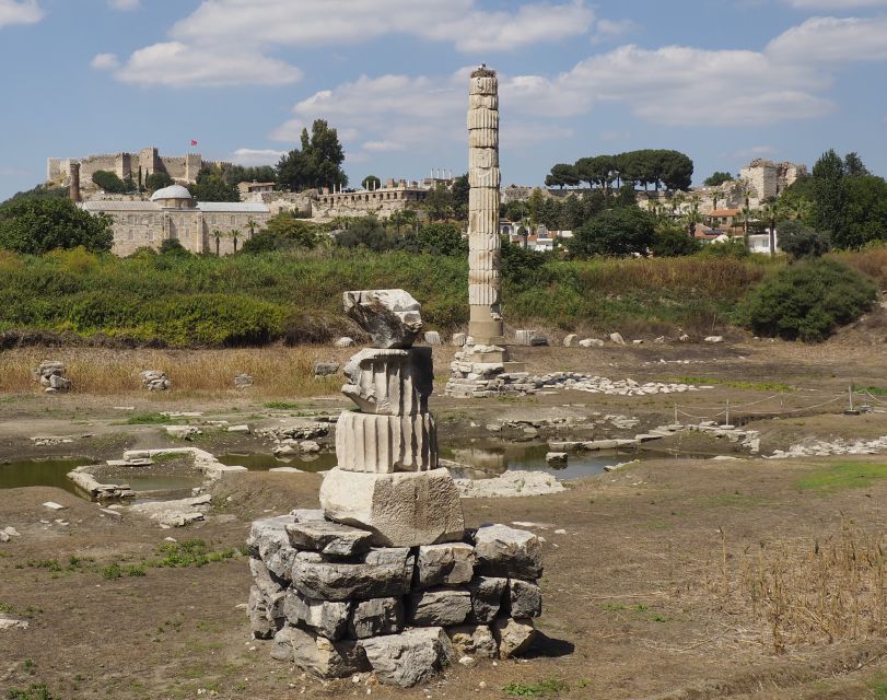 From Istanbul: Ephesus & Şirince Day Trip w/ Wine Tasting - Şirince: hillside village charm and fruit-flavored wine tasting