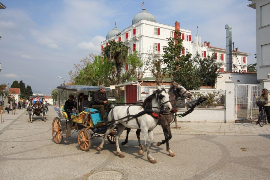 From Istanbul: Full-Day Princes Island Tour with Lunch - The morning cruise: Istanbul views that fade fast
