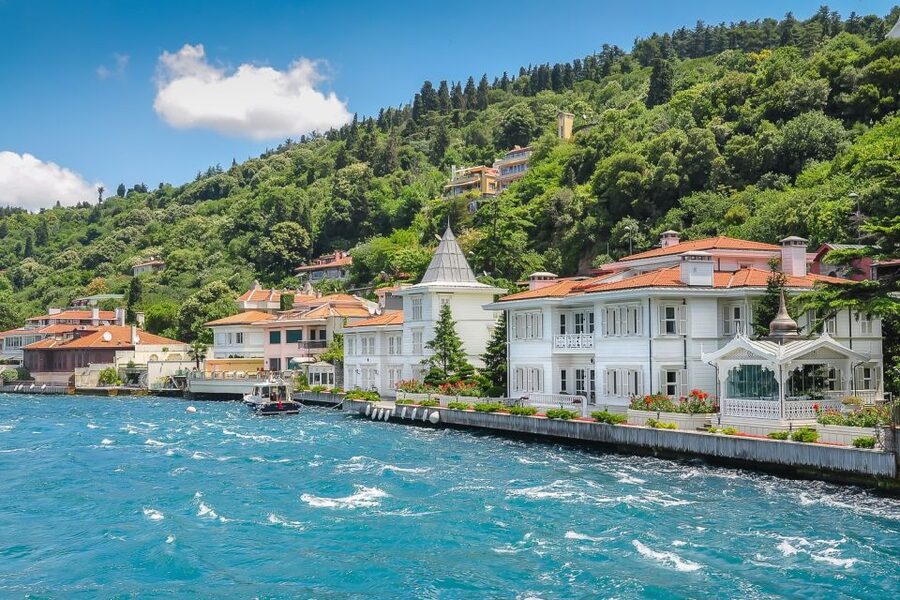 From Istanbul: Full-Day Princes Island Tour with Lunch - Kınalıada stop: quick hit photos and casual island walking