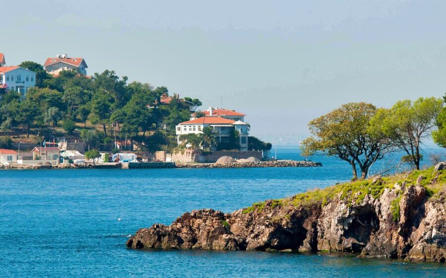 From Istanbul: Full-Day Princes Island Tour with Lunch - Optional shopping stops, and how to keep control of your time