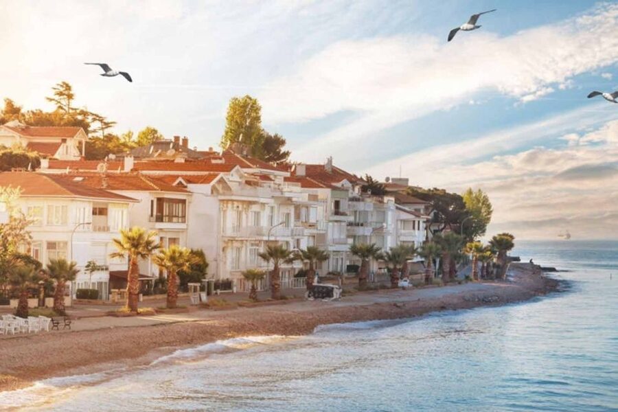 From Istanbul: Full-Day Princes Island Tour with Lunch - Price and value: why this often works at this cost