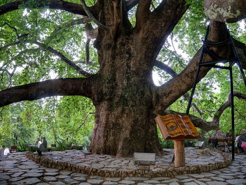 From Istanbul: Full-Day Tour to Bursa - Barbecue lunch on the mountain: why it works in a rushed schedule