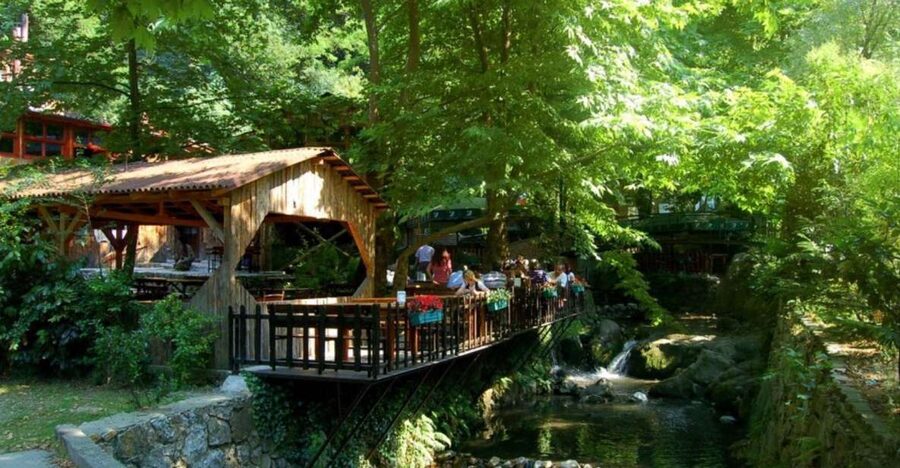 From Istanbul: Guided Day Trip to Sapanca and Masukiye - Key highlights you will actually care about