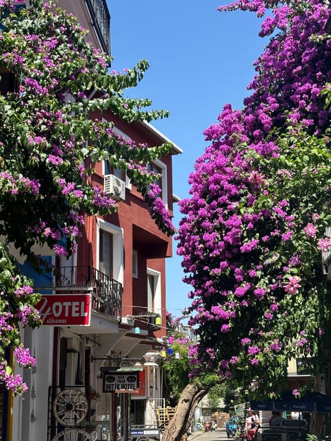 From Istanbul: Princess Islands Guided Tour - Price and Value: Why $24 Can Work (If You Want This Kind of Day)