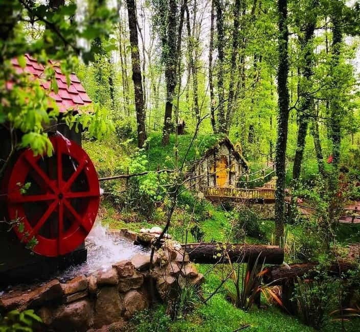 From Istanbul: Sapanca & Masukiye Tour with Lunch - Maşukiye adventure zone: zipline and ATV as optional spend