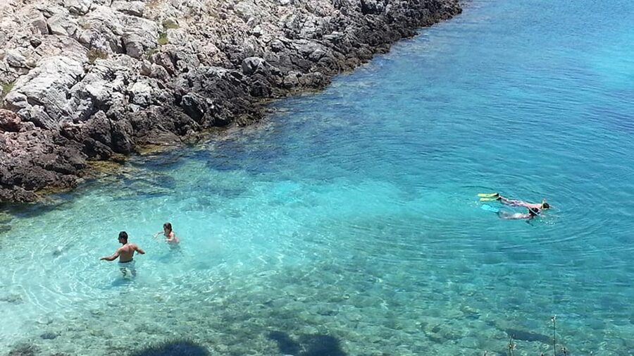 From Izmir: Full Day Boat Trip around Cesme with BBQ Lunch - Donkey Island: walkable, casual, and optional
