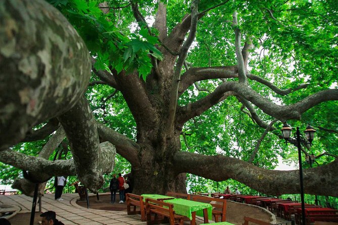 Full Day Bursa Tour from Istanbul(cable car, Lunch & transfer) - Nature Park Start and the Optional ATV Safari Choice