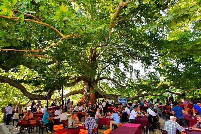 Full Day Bursa Tour from Istanbul(cable car, Lunch & transfer) - Lunch, Comfort, and What to Bring for a 14-Hour Day