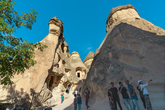 Full-Day Cappadocia Tour with Lunch, from Goreme - Morning start: Devrent Valley’s animal shapes and Pasabag’s monk towers