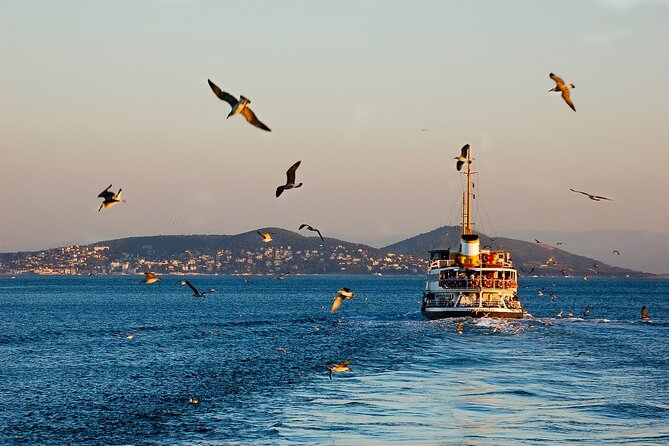 Full-Day Princes Island Tour with Lunch from Istanbul - Who Should Book This Princes Islands Tour, and Who Might Want to Skip