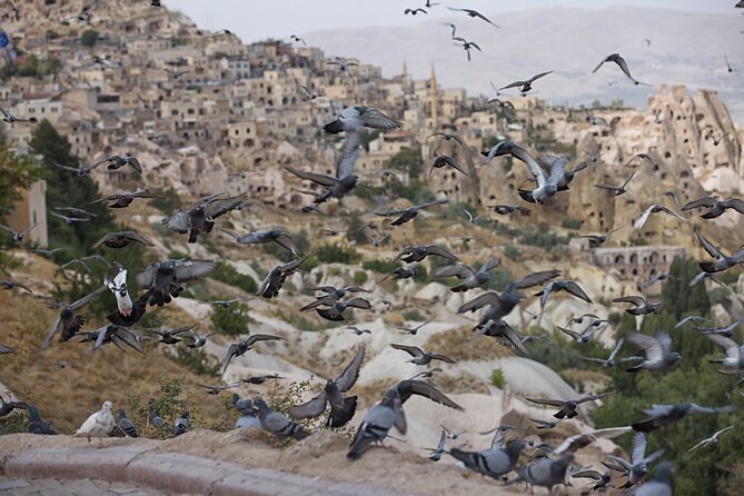 Full-Day Private Guided RED Tour of Cappadocia - Stop 1: Devrent Valley (Imagination Valley) for Animal-Spotting