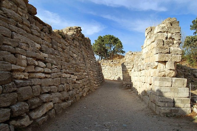 Full Day Troy & Gallipoli Tour ( From Canakkale ) - What the 8:30 start feels like, pickup, and pacing