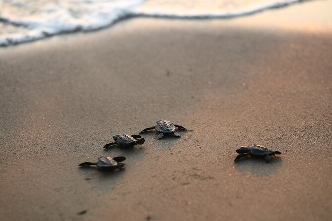 Full Day Turtle Beach Tour With Lake and Mud Baths From Marmaris - Dalyan Nehri by Boat: The Part That Feels Like a Reset