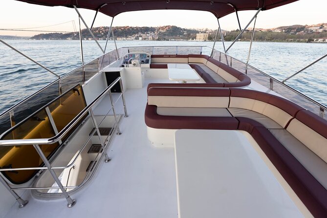 Half Day Bosphorus Cruise with Stopover on Asian Side - What the boat experience feels like, with WiFi and onboard comfort