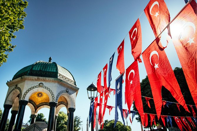 Highlights & Hidden Gems With Locals: Best of Istanbul Private Tour - Ayasofya in the best first-pass way: outside viewing plus context