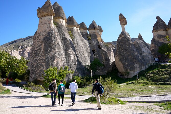 Highlights of Cappadocia All in One Tour - Stop 5: Devrent Valley’s animal-shaped imagination