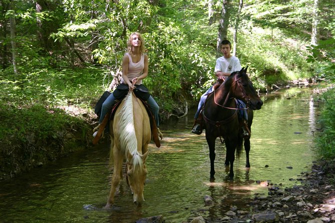 Horse Riding Experience in Marmaris with Transfer - Key Things to Know Before You Go