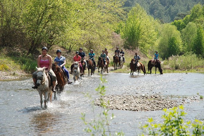 Horse Riding Experience in Marmaris with Transfer - Pinar Horse Safari in Marmaris: Why This Ride Feels Worth It