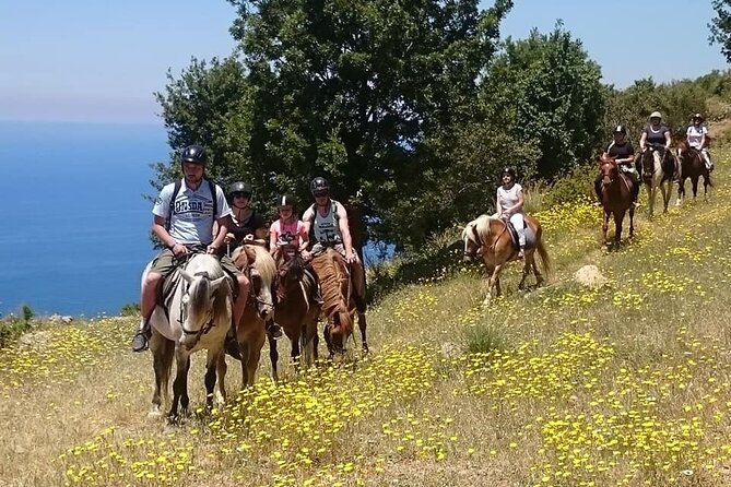 Horse Riding in Fethiye - Key things that make this ride work (and what to watch)