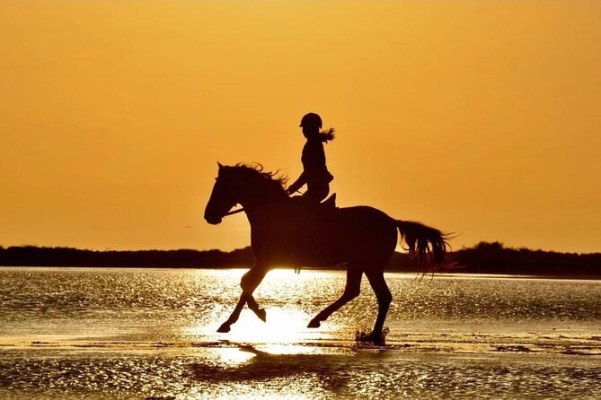 Horse Riding in Manavgat Side Forest and Beach - Key Highlights You’ll Care About