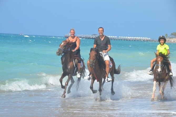 Horse Riding in Manavgat Side Forest and Beach - Price and What You Actually Get for About $56