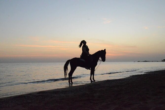 Horse Riding in Manavgat Side Forest and Beach - Safety, Helmet Reality, and How to Make It Go Smoothly