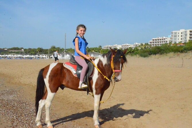 Horse Riding in Manavgat Side Forest and Beach - Horses, Guides, and the Calm Factor That People Notice