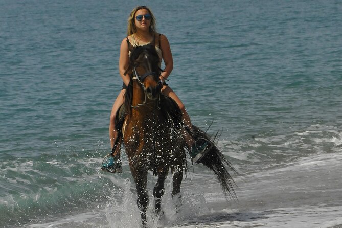 Horse Riding in Manavgat Side Forest and Beach - Family-Friendly for Kids Who Actually Want to Be There
