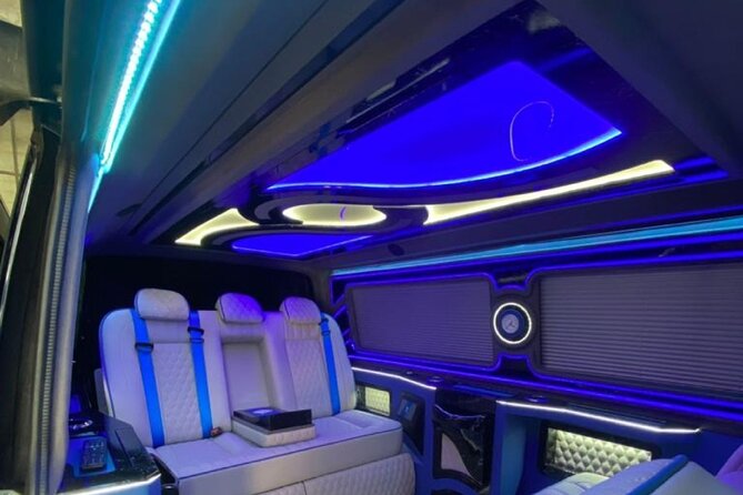 Istanbul Airport Minivan or Minibus Vip Private Meet Transfer - Who should book this VIP transfer?
