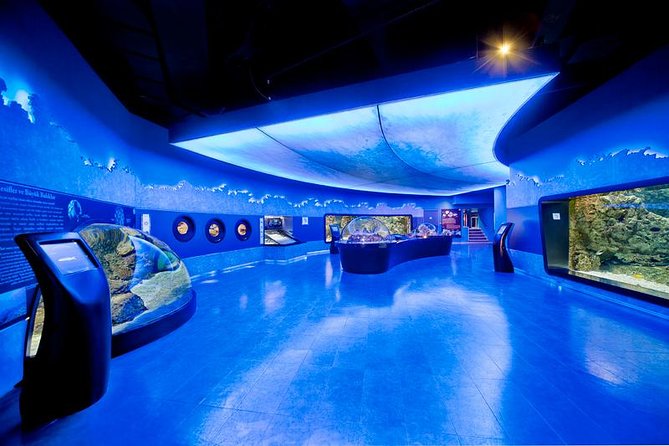 Istanbul Aquarium and Aqua Florya Independent Shopping Trip - Key highlights to know before you go