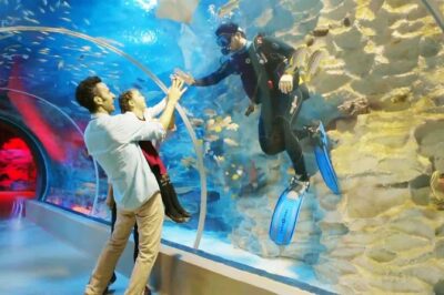 Istanbul Aquarium and Aqua Florya Independent Shopping Trip