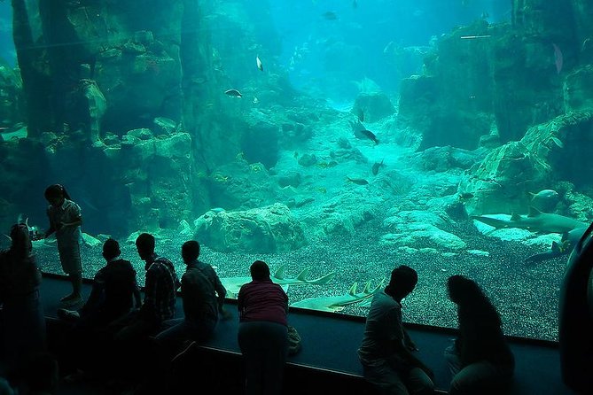 Istanbul Aquarium and Aqua Florya Independent Shopping Trip - Transport and timing: what makes the schedule feel easy