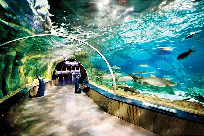 Istanbul Aquarium and Aqua Florya Independent Shopping Trip - Price and value: what you are paying for, and what you are not