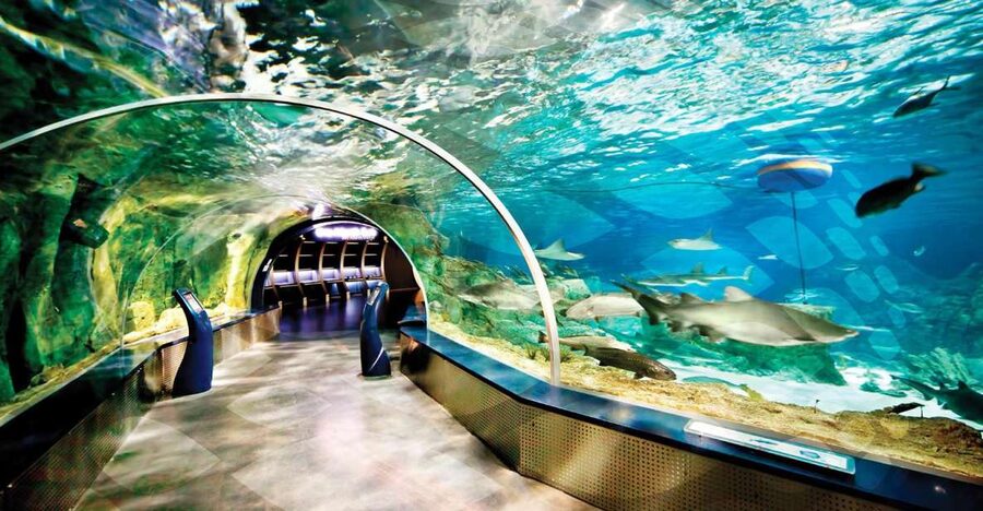 Istanbul Aquarium and Aqua Florya Shopping Mall Tour - Key Highlights You’ll Actually Feel