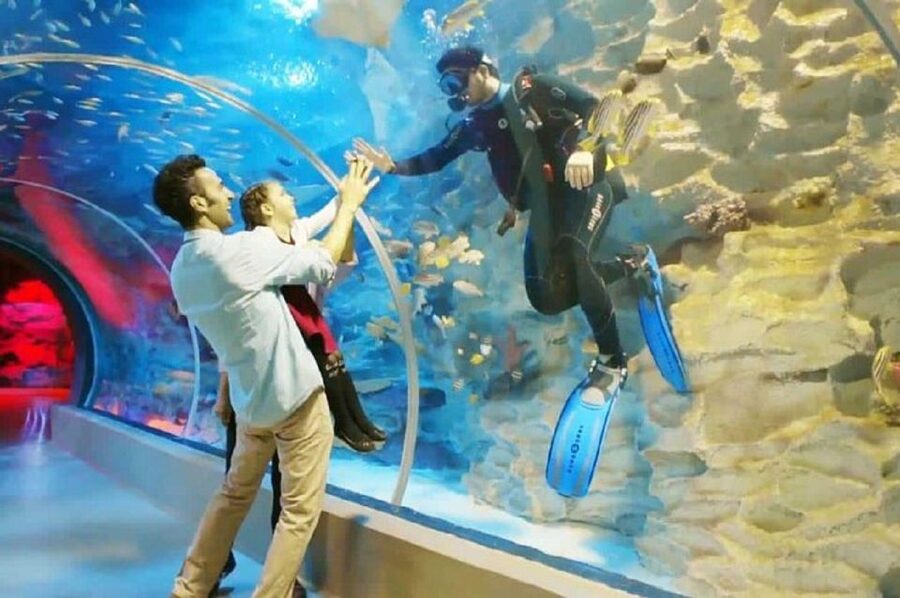 Istanbul Aquarium and Aqua Florya Shopping Mall Tour - Price and Value: Is $177 Fair for This 5-Hour Mix?