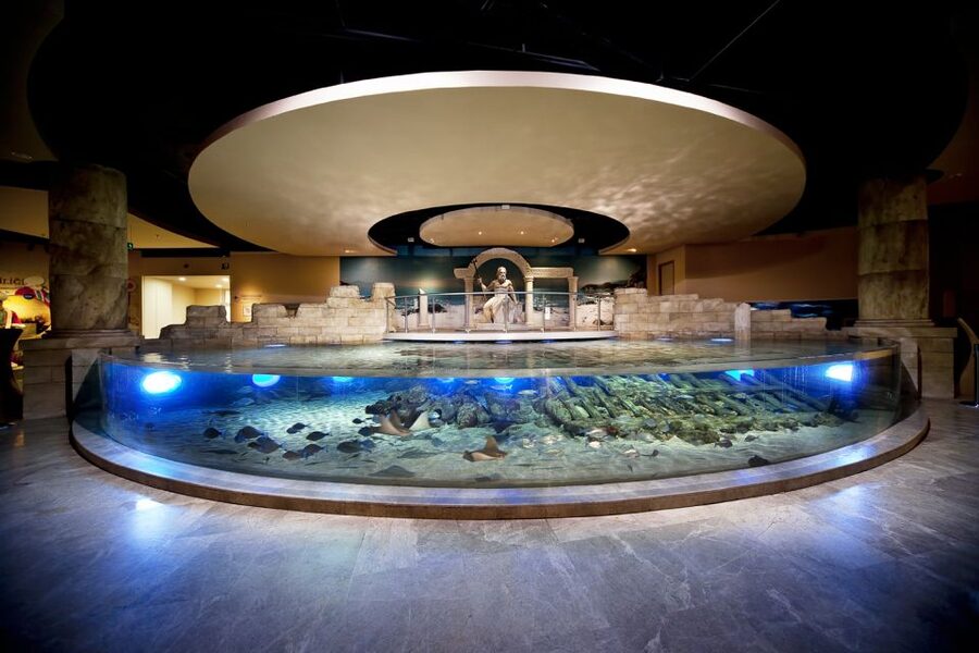 Istanbul Aquarium and Aqua Florya Shopping Mall Tour - The Aquarium Route: 16 Themes, 1,500+ Species, One Walkable Story