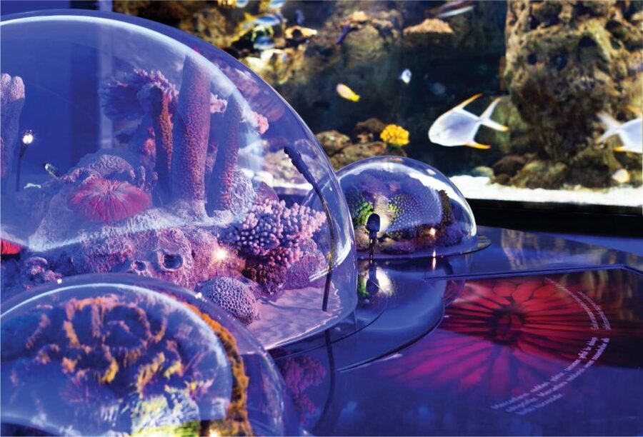 Istanbul Aquarium and Aqua Florya Shopping Mall Tour - The Amazonian Rainforest and Rainforest Quest