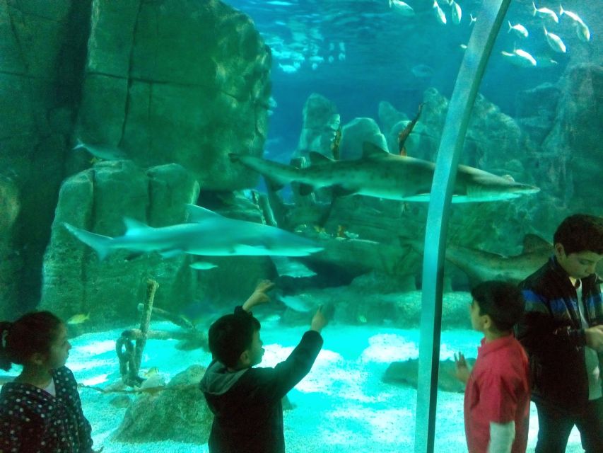 Istanbul Aquarium and Aqua Florya Shopping Mall Tour - Mirror Labyrinth: A Fun Detour With Real Photo Potential
